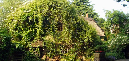 Wizards Thatch - Harry Potter's Charming Fairytale Cottage
