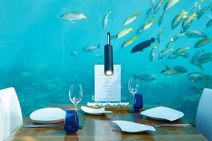 Ithaa Undersea Restaurant Dining With Marina Life Panorama