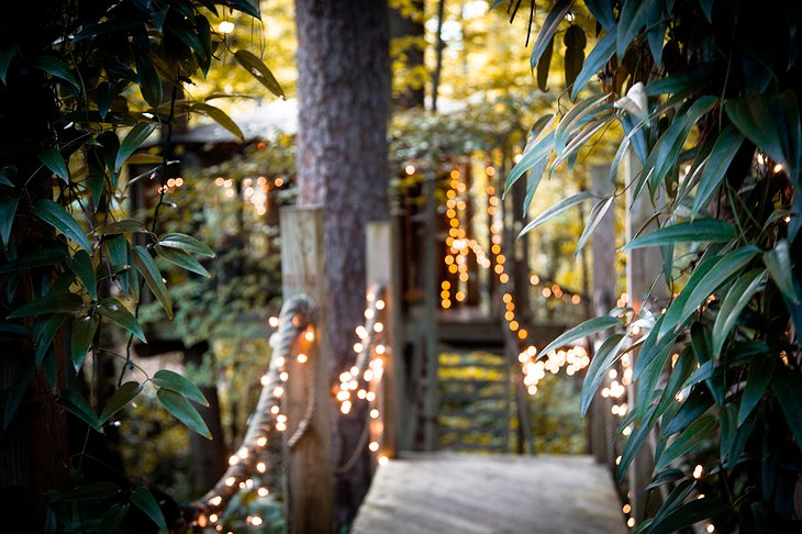 Secluded Intown Treehouse glowing lights