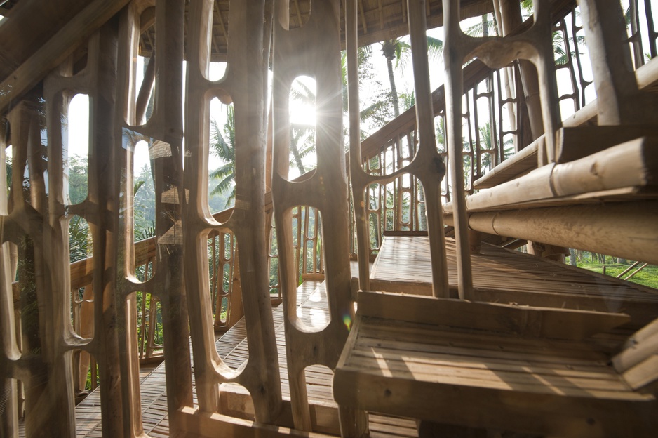 Palm House Bamboo Staircase