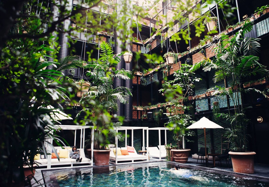 Manon Les Suites Jungle Pool Vertical Gardens