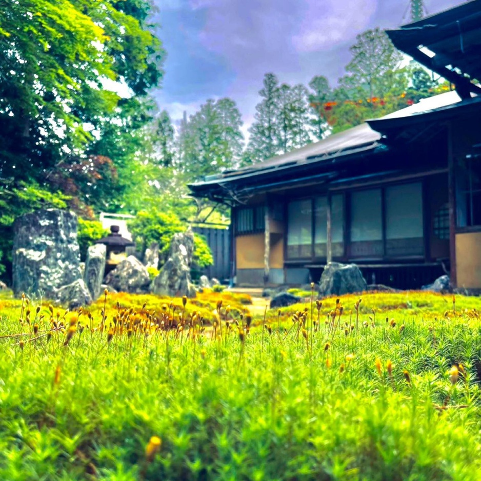 Koyasan Saizen-in Temple Garden