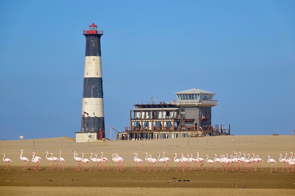 Pelicans in front of the Pelican Point Lodge