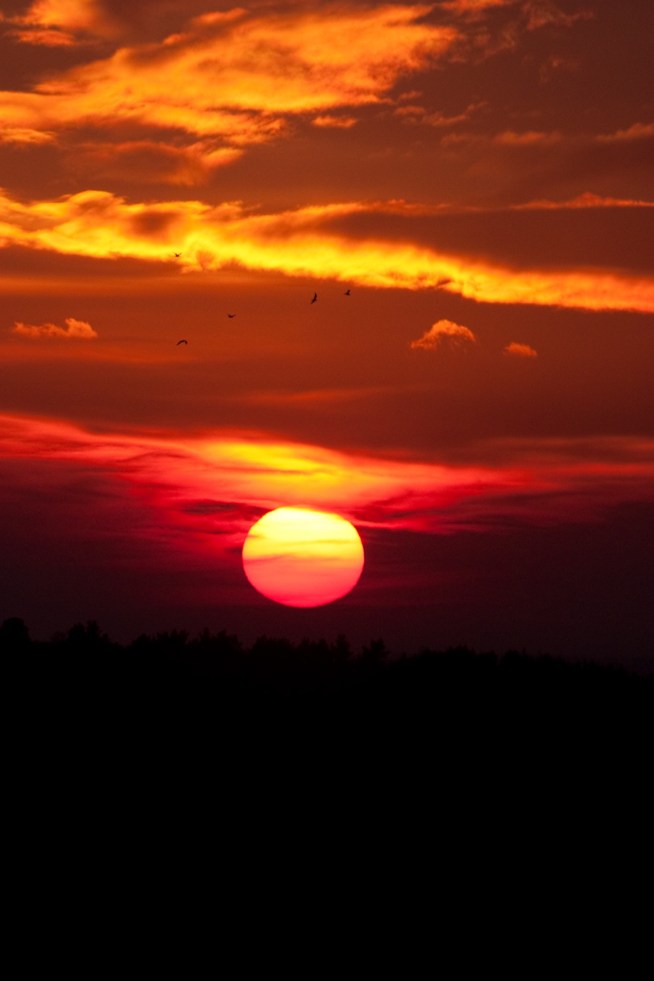 Sunset at the English countryside