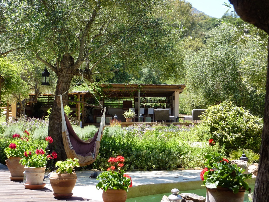 The Hoopoe Yurt Hotel hammock