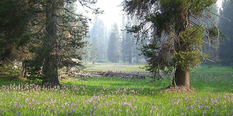 Yosemite National Park