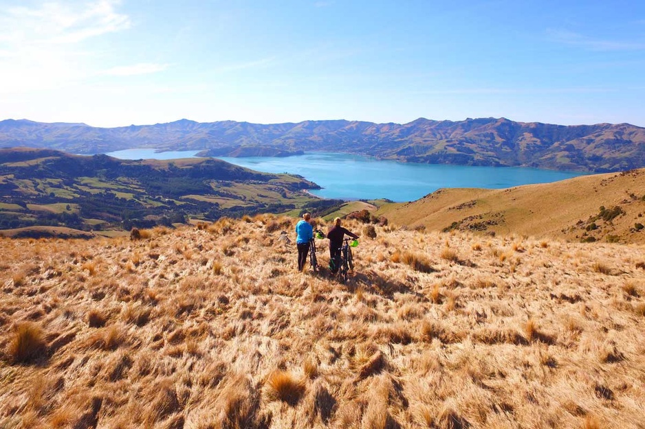 New Zealand wild nature biking