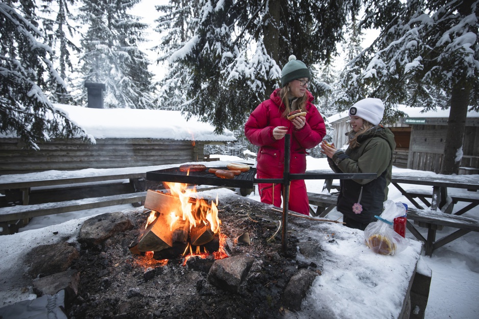 The Wolf Hotel Firepit for Cooking