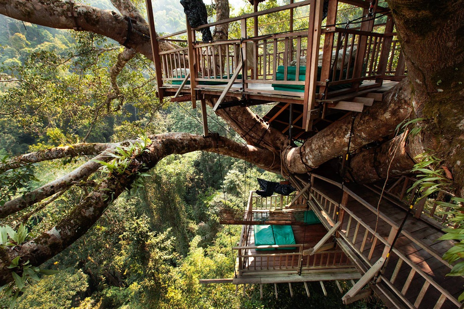 Gibbon Experience Treehouse Open Air Bedrooms