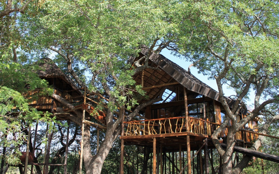 Marula Tree House