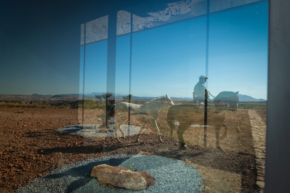 District Hive Window View, Horses Reflection