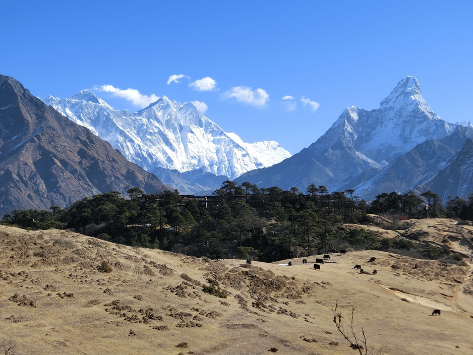 Hotel Everest View And Himalayan Yaks