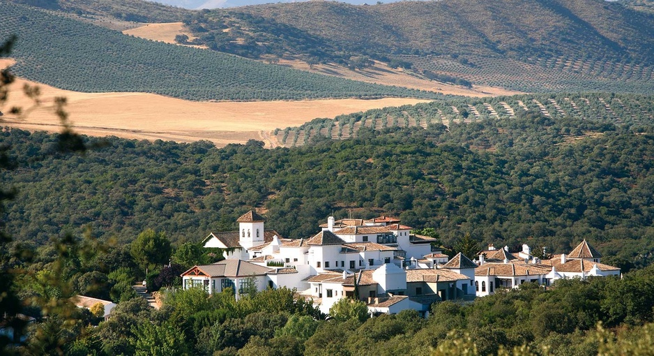 La Bobadilla aerial