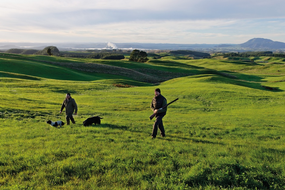 Hunting in Taupo