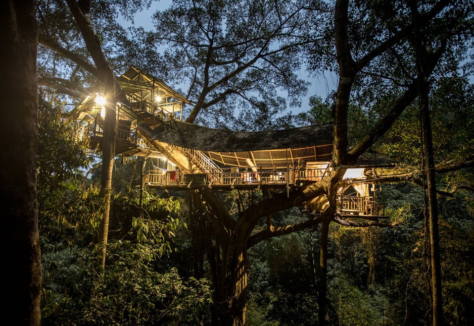 Gibbon Experience Treehouse at Night