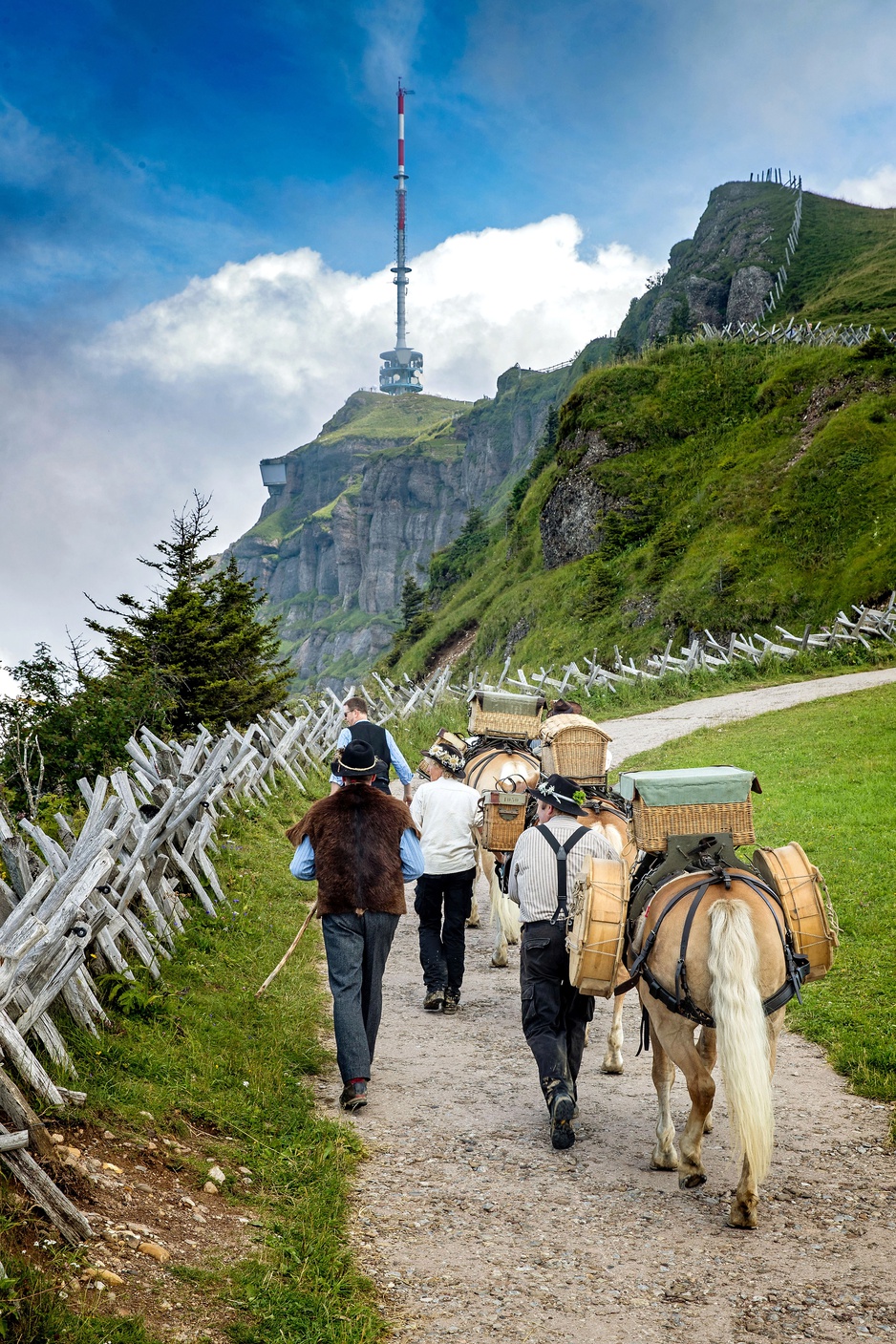 Hike up to the Mountain Rigi