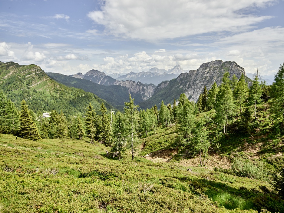 Nassfeld Alps Green Forests