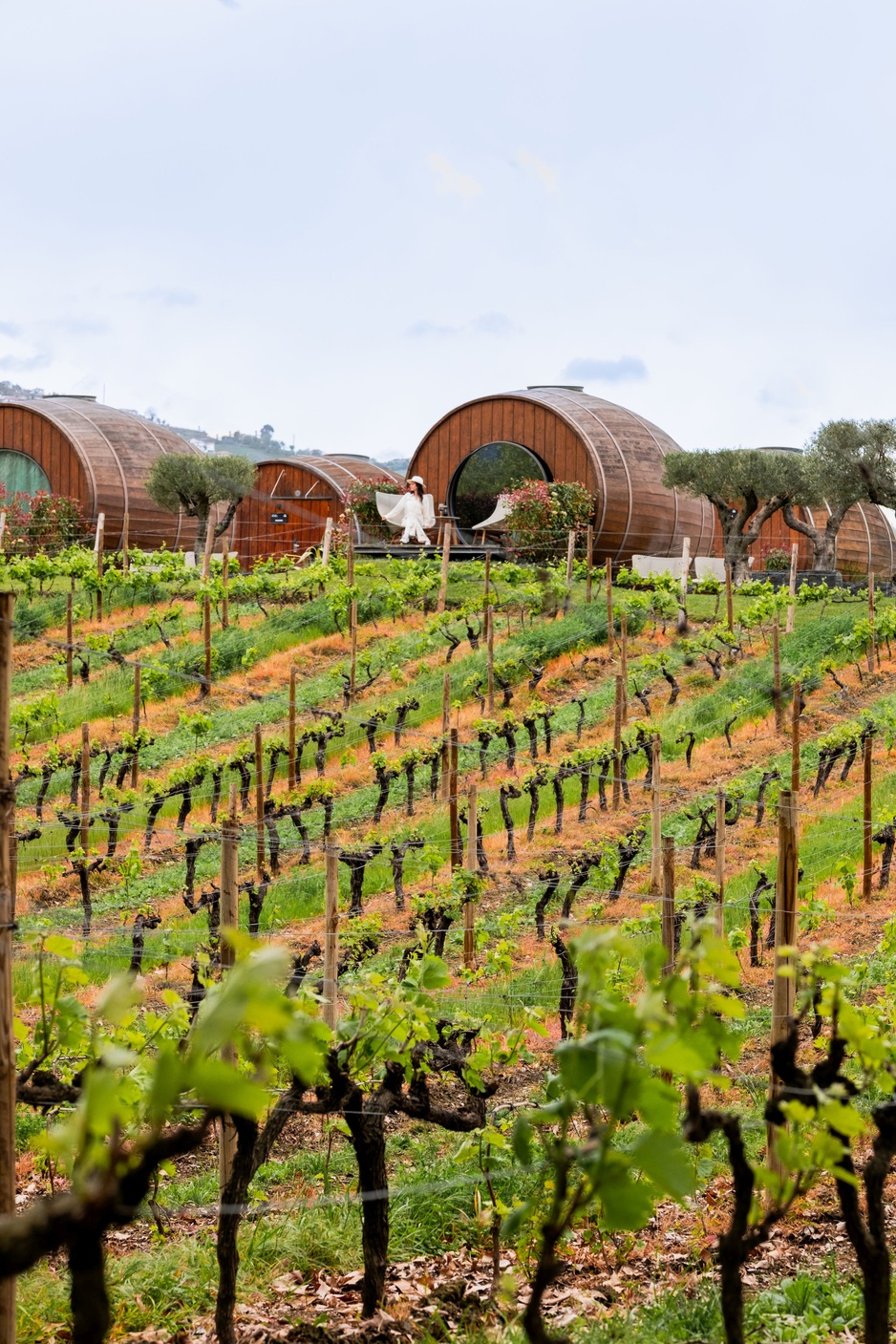 The Wine House Hotel Vineyard & Giant Wine Barrels