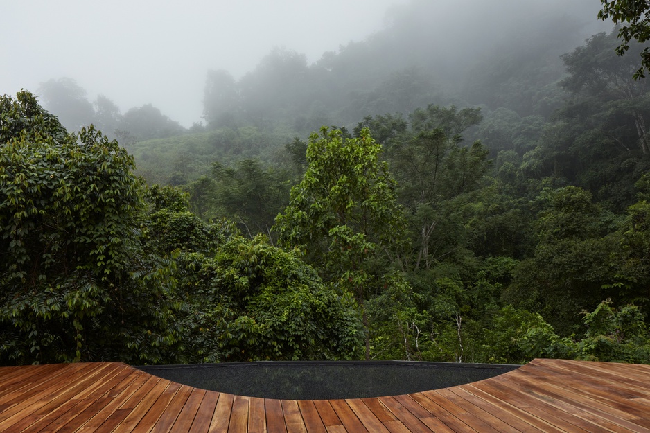 The Coco Jungle Pool