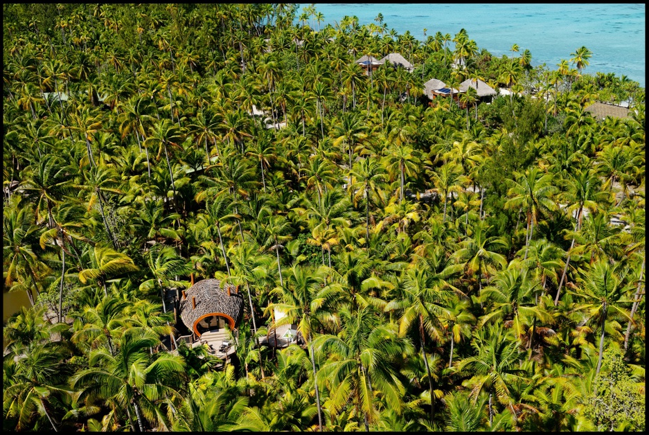 The Brando Hotel lodge aerial