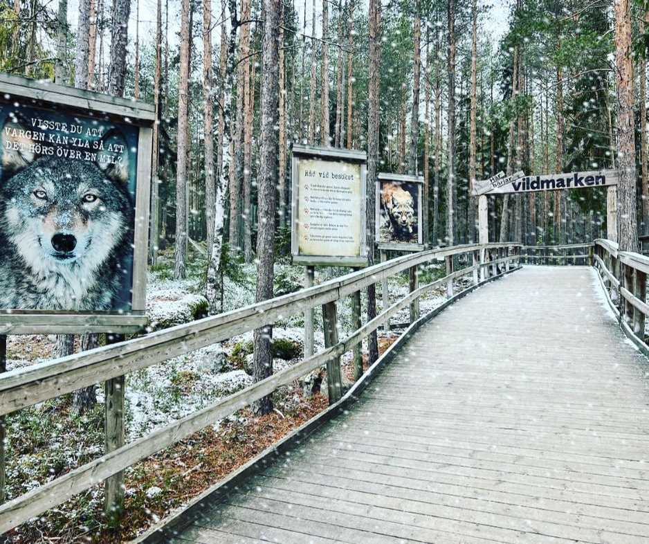 Vildriket-Nordic Wildlife Park Infographics