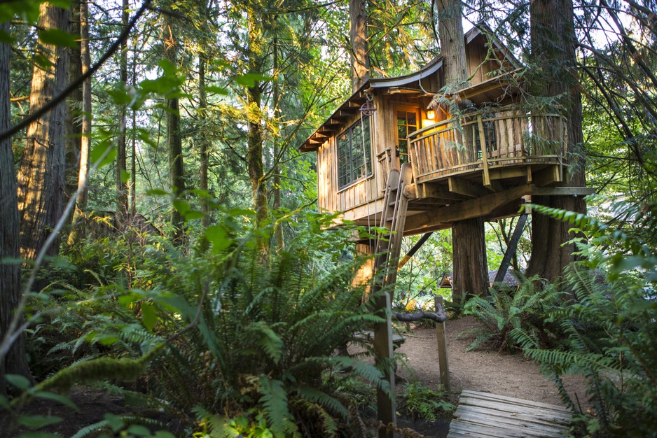 Upper Pond tree house exteior