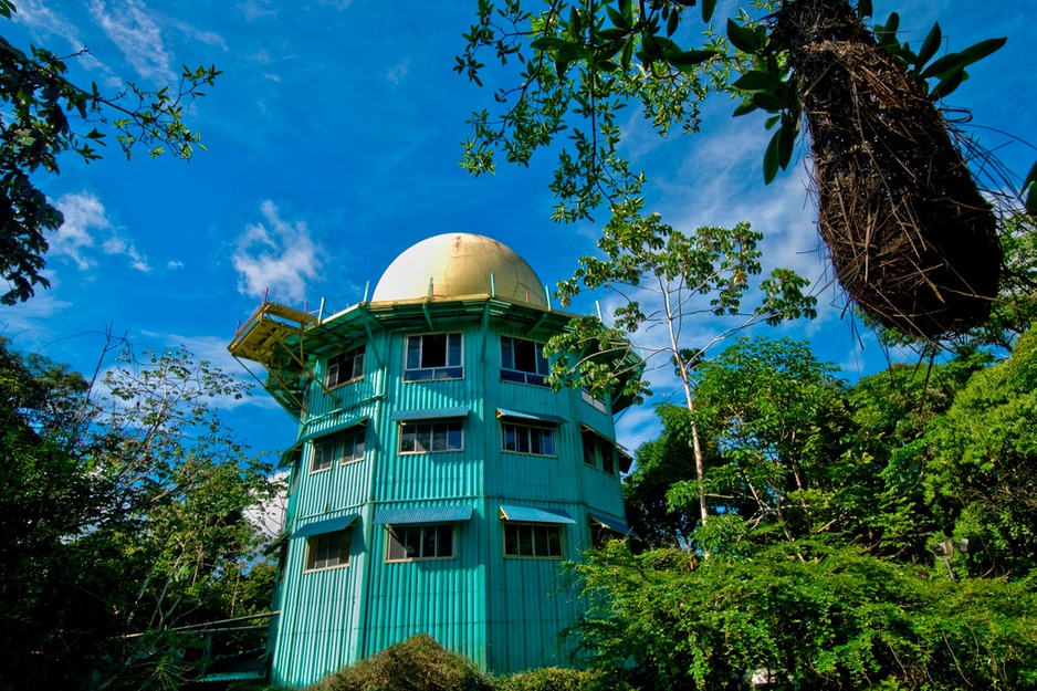 Canopy Tower