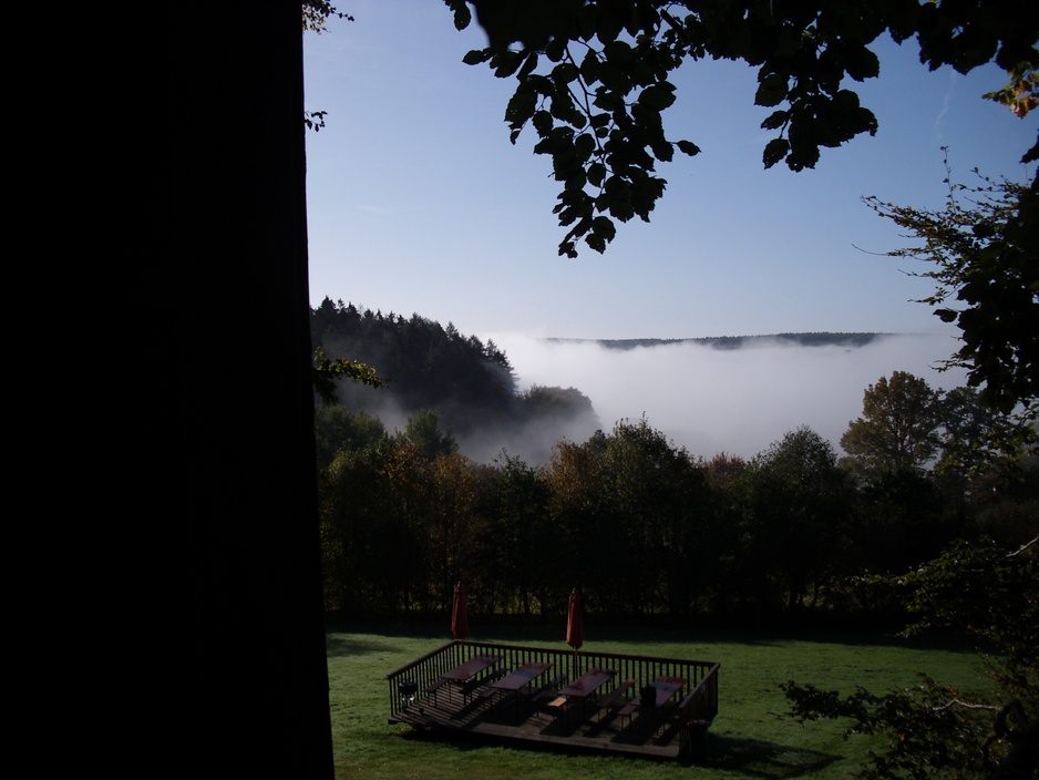 View on the Schönhagen forest from Baumhaushotel Solling