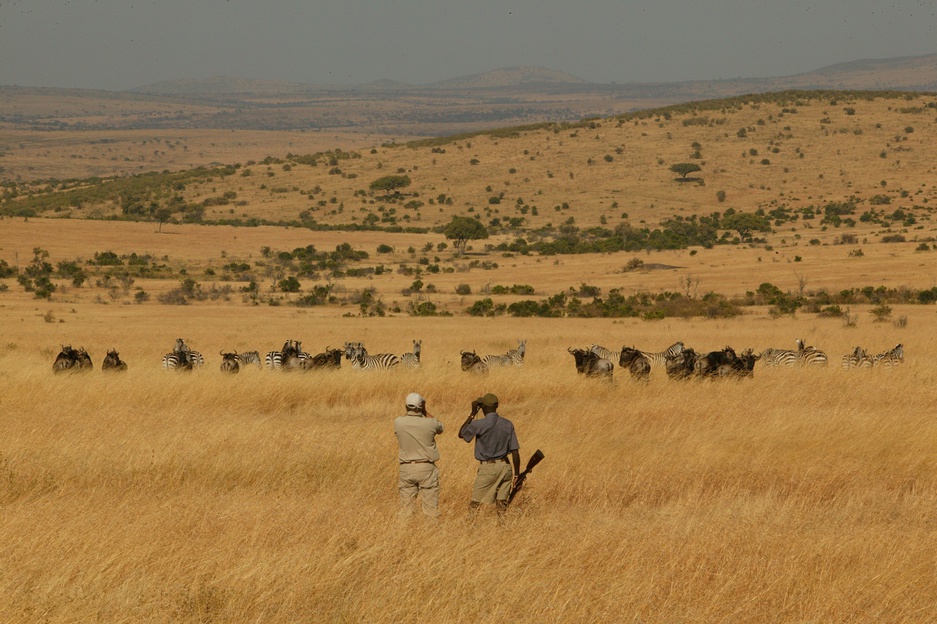 Cottar's Safari