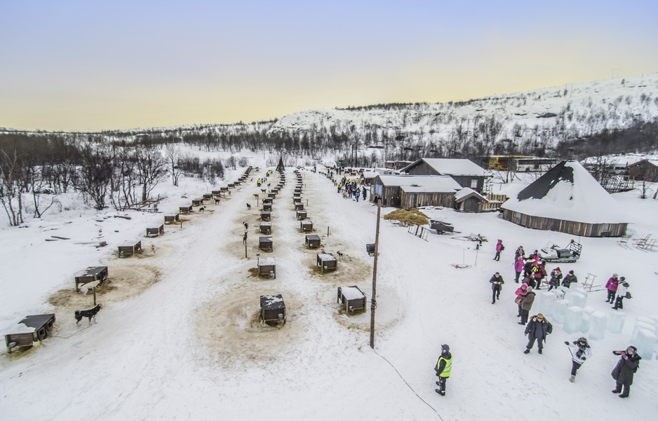 Huskies at Kirkenes Snowhotel