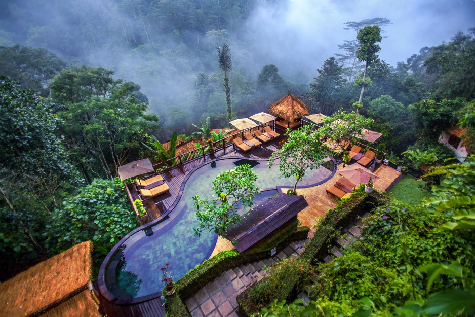 Mystical Jungle Pool