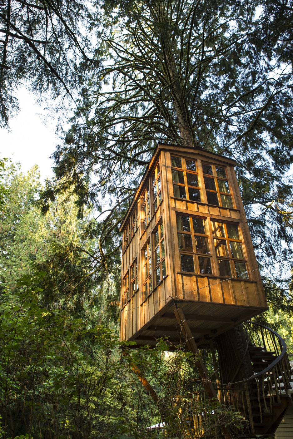 Trillium Tree House high windows