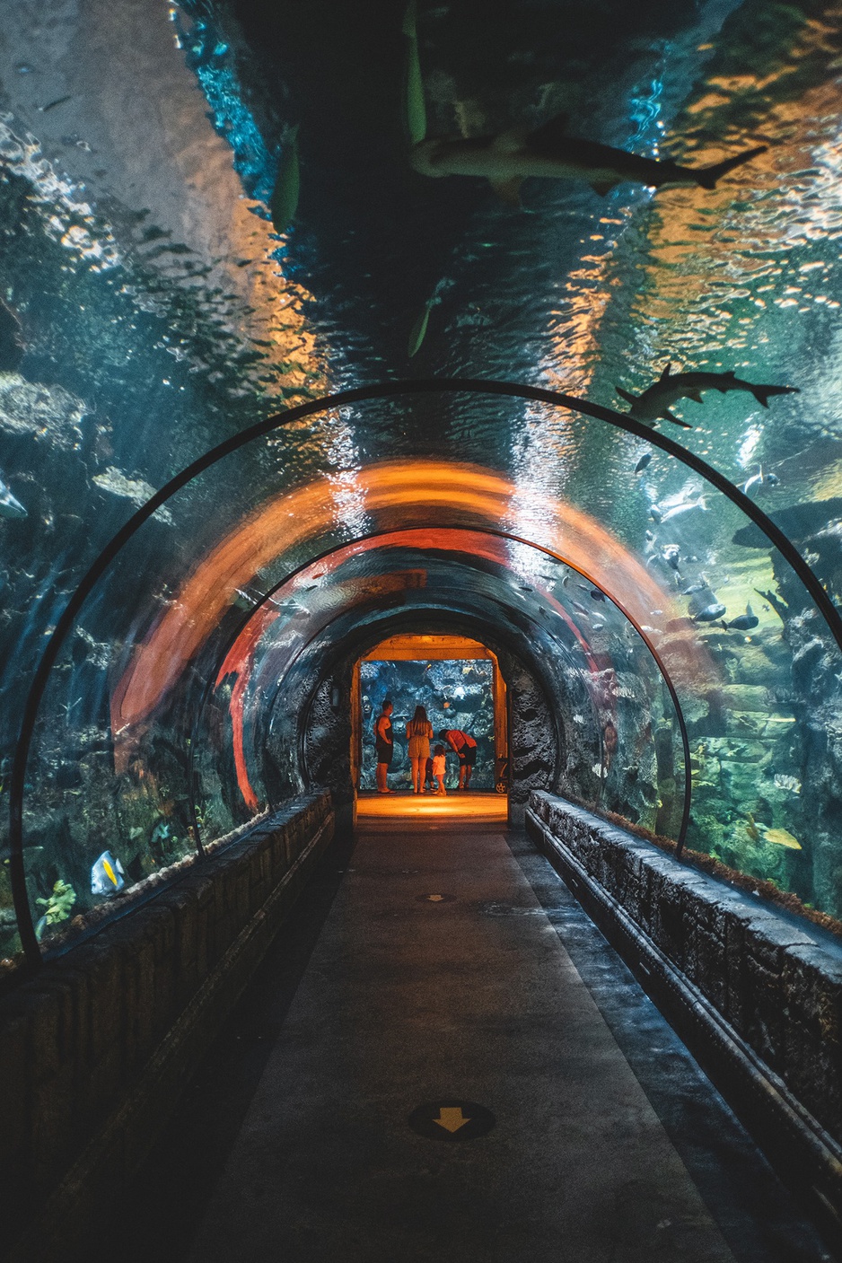 Mandalay Bay Shark Reef aquarium