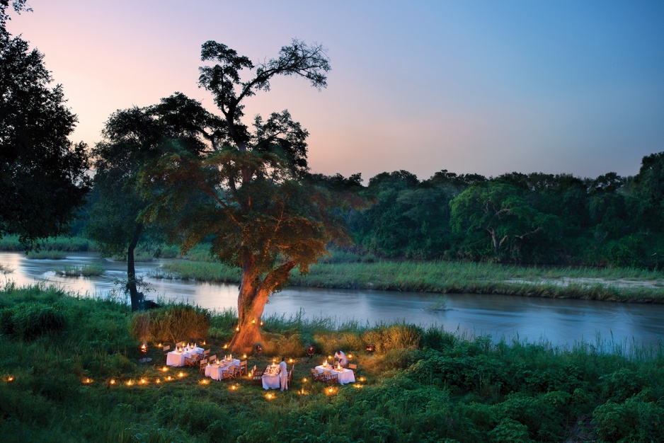 Romantic dinner under the tree