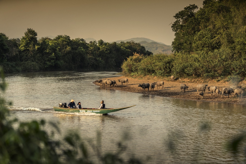 Golden Triangle Long Boat River Experience