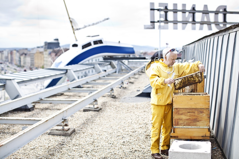 Bee farm on the rooftop of Hotel Daniel Vienna