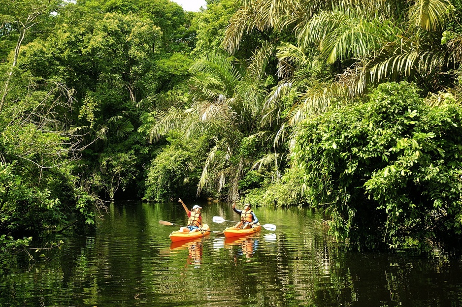 Tortuguero Kayak Tour