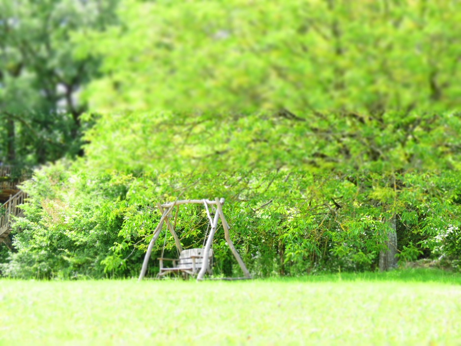 Wooden swing