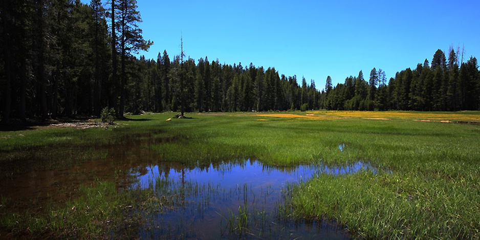 Yosemite National Park