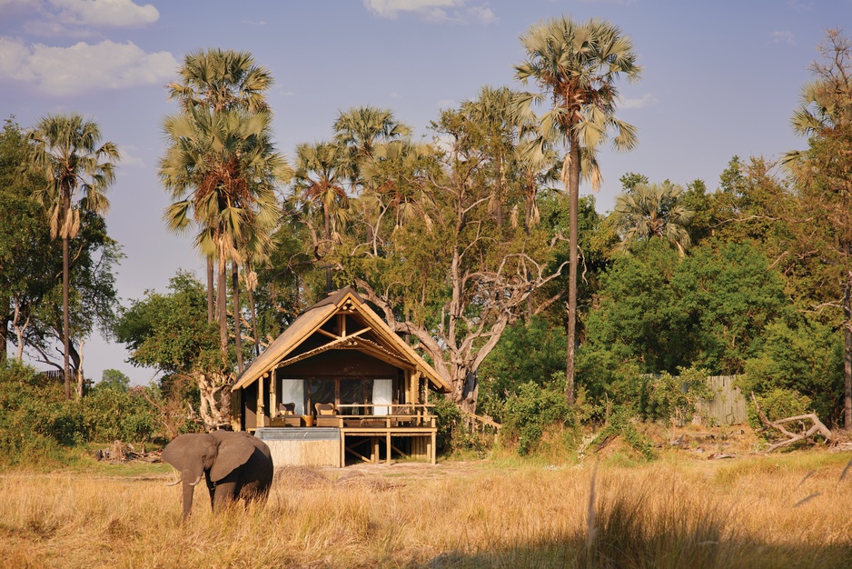 Belmond Eagle Island Lodge Elephant Visit