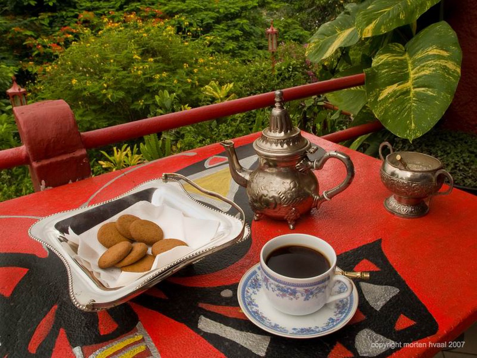 Coffee on terrace at Helga’s Folly