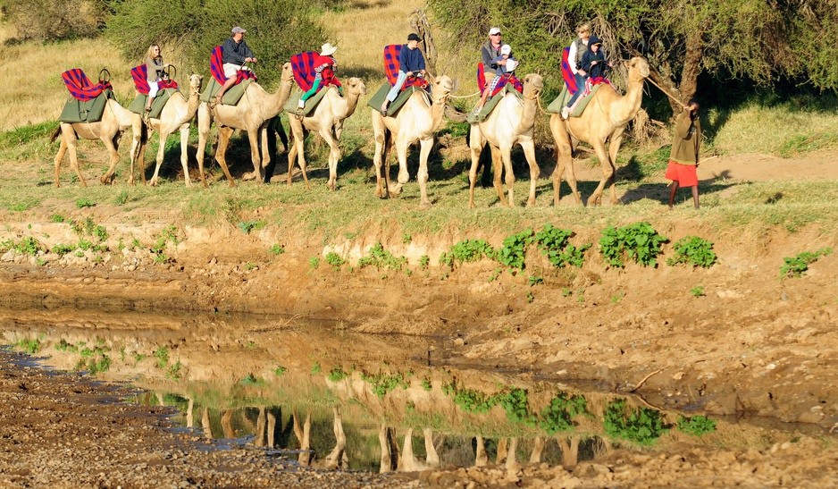 Camel safari