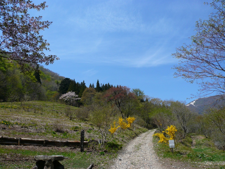 Houshi River Surroundings