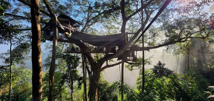 Gibbon Experience - Sleep in the World's Highest Treehouses in Northern Laos