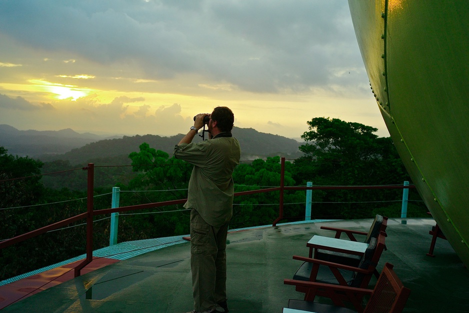 Observing nature from the top of Canopy Tower