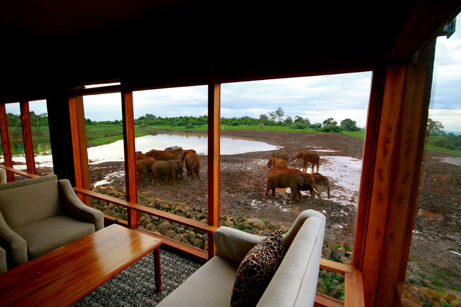 The Ark Kenya game viewing room