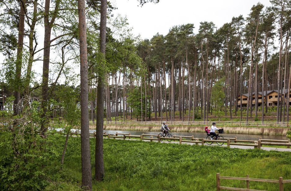 Woburn Forest biking