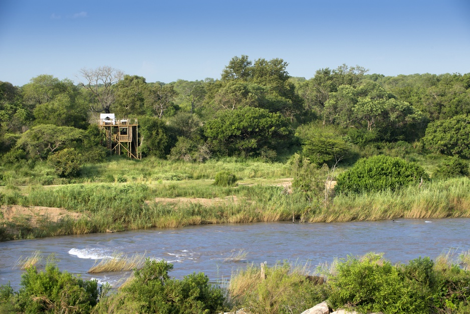 Lion Sands Private Game Reserve Tinyeleti Treehouse