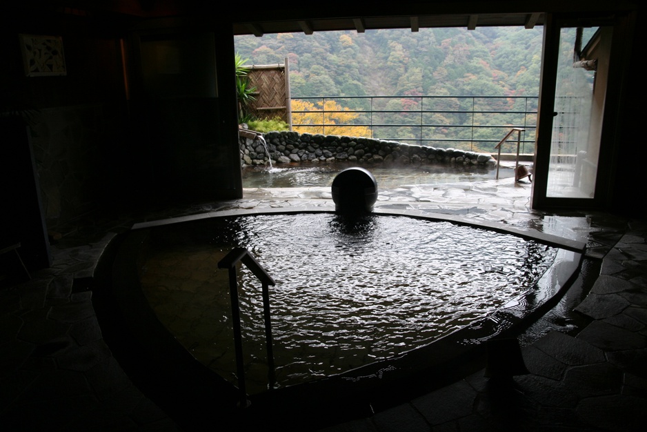 Hakone Ginyu spa