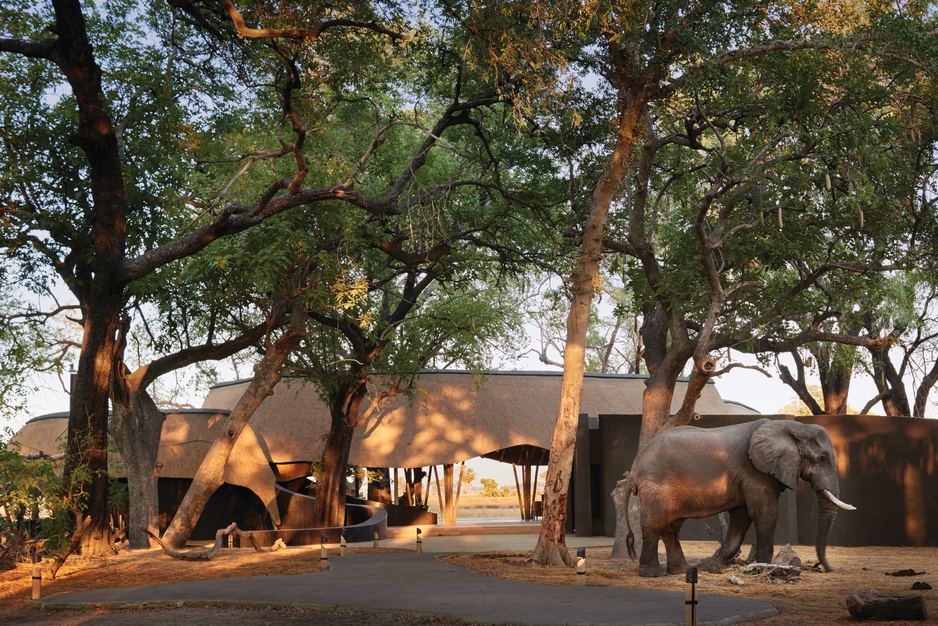 Belmond Eagle Island Lodge Gate With An Elephant